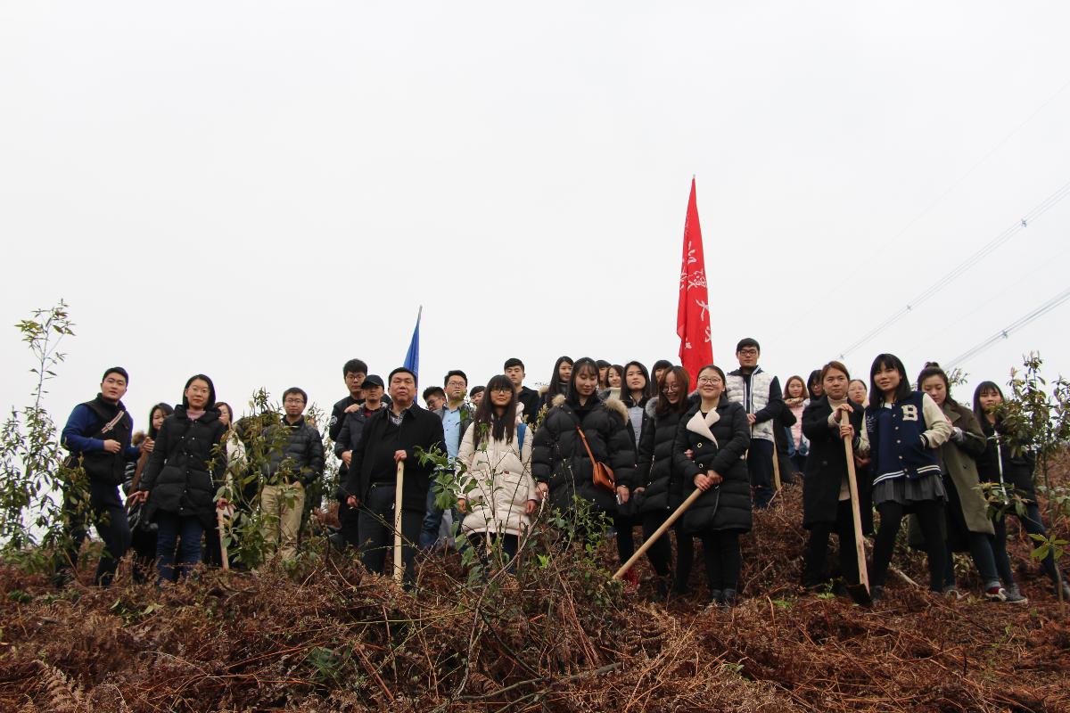 植树活动4.jpg